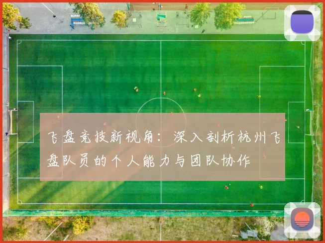 飞盘竞技新视角：深入剖析杭州飞盘队员的个人能力与团队协作