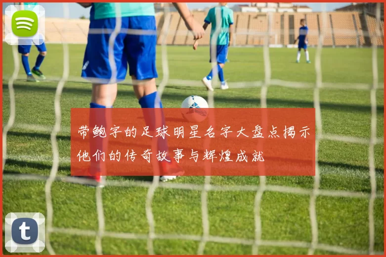 带鲍字的足球明星名字大盘点揭示他们的传奇故事与辉煌成就