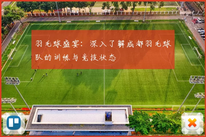 羽毛球盛宴：深入了解成都羽毛球队的训练与竞技状态
