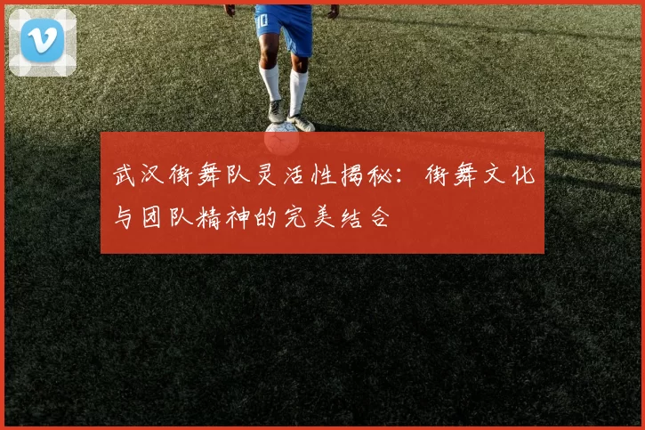 武汉街舞队灵活性揭秘：街舞文化与团队精神的完美结合