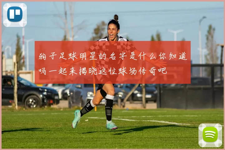 狗子足球明星的名字是什么你知道吗一起来揭晓这位球场传奇吧