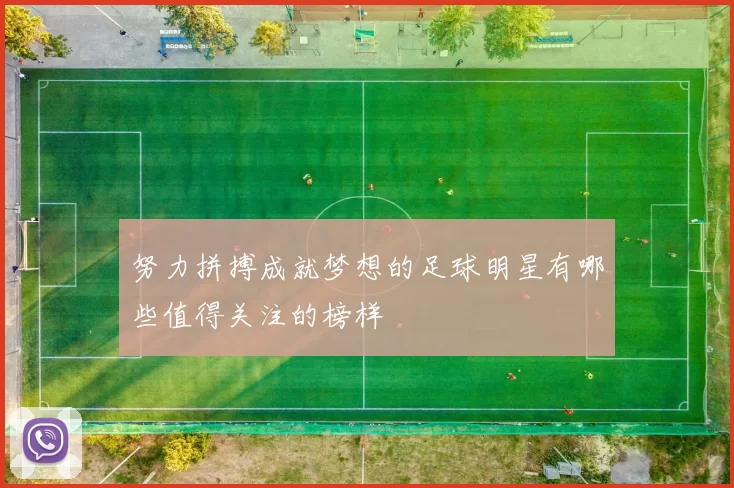 努力拼搏成就梦想的足球明星有哪些值得关注的榜样