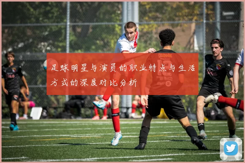 足球明星与演员的职业特点与生活方式的深度对比分析