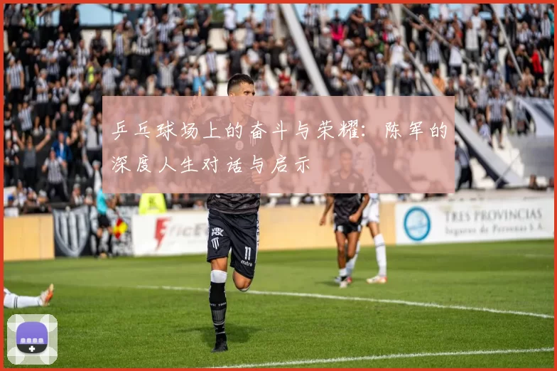乒乓球场上的奋斗与荣耀：陈军的深度人生对话与启示