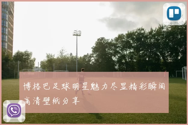 博格巴足球明星魅力尽显精彩瞬间高清壁纸分享