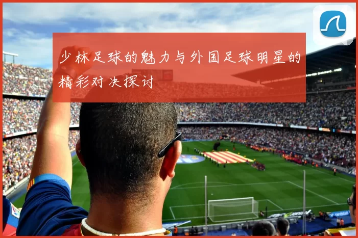 少林足球的魅力与外国足球明星的精彩对决探讨