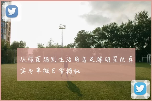 从绿茵场到生活角落足球明星的真实与卑微日常揭秘