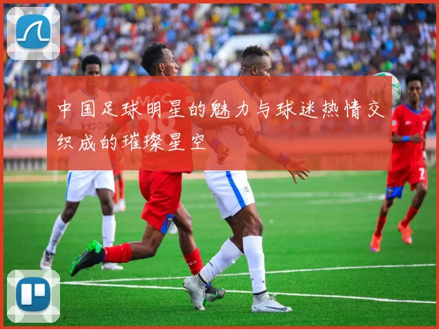中国足球明星的魅力与球迷热情交织成的璀璨星空