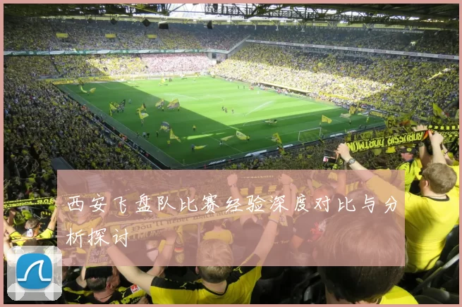 西安飞盘队比赛经验深度对比与分析探讨