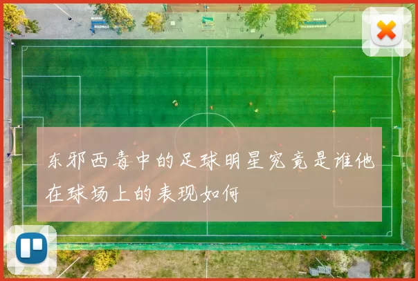 东邪西毒中的足球明星究竟是谁他在球场上的表现如何