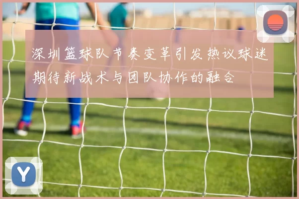 深圳篮球队节奏变革引发热议球迷期待新战术与团队协作的融合