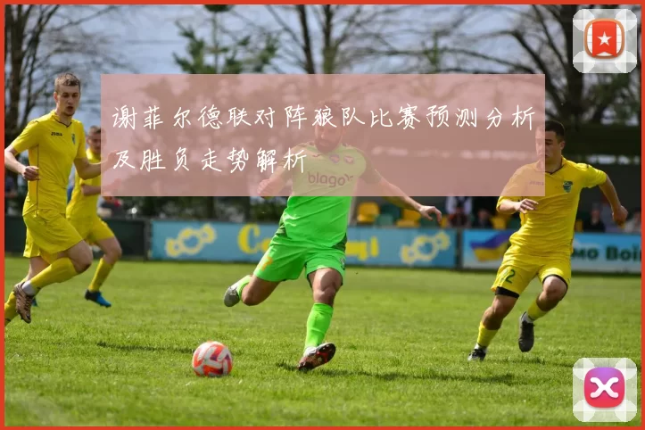 谢菲尔德联对阵狼队比赛预测分析及胜负走势解析