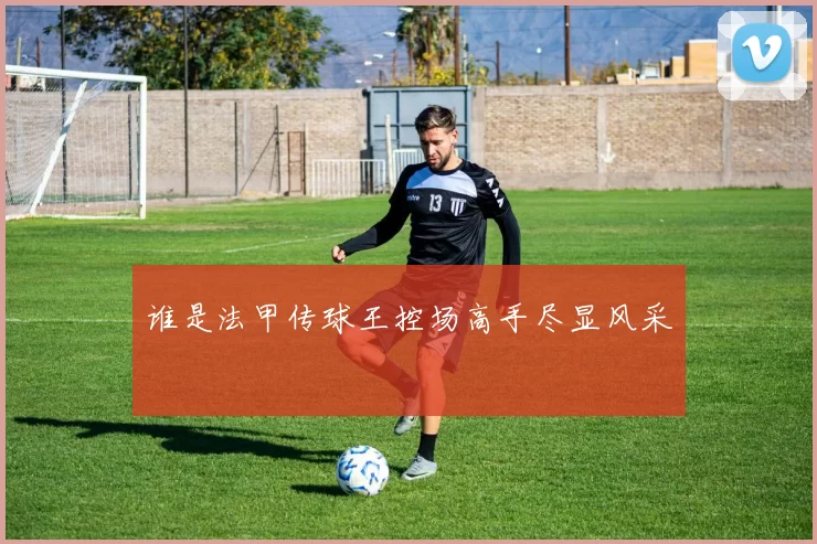 谁是法甲传球王控场高手尽显风采