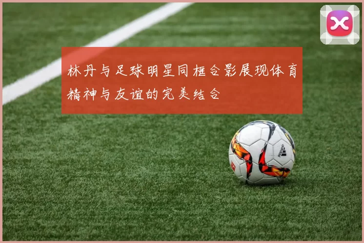 林丹与足球明星同框合影展现体育精神与友谊的完美结合