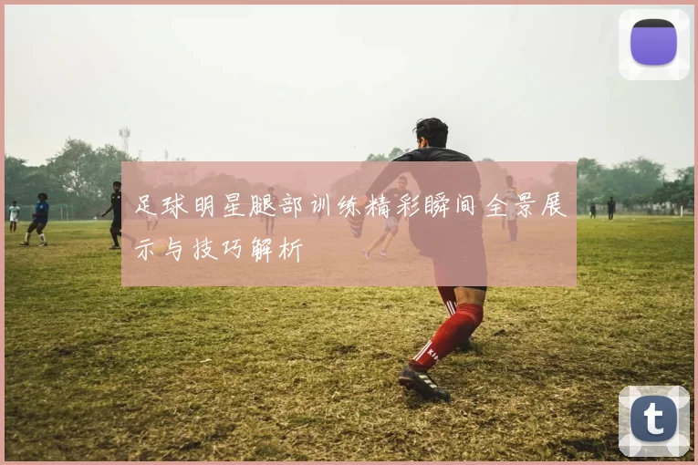 足球明星腿部训练精彩瞬间全景展示与技巧解析
