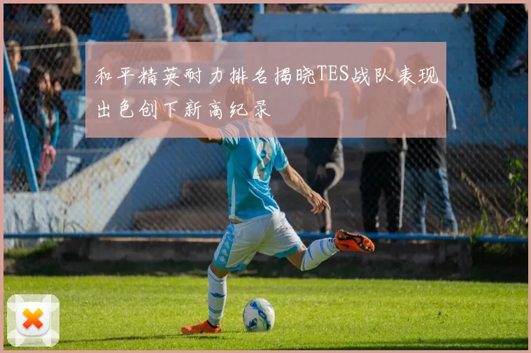 和平精英耐力排名揭晓TES战队表现出色创下新高纪录