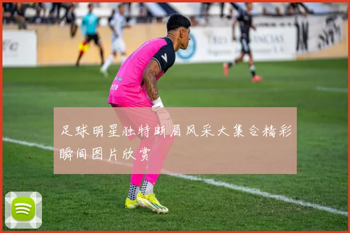 足球明星独特断眉风采大集合精彩瞬间图片欣赏