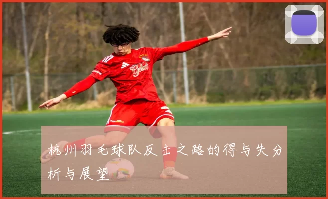 杭州羽毛球队反击之路的得与失分析与展望