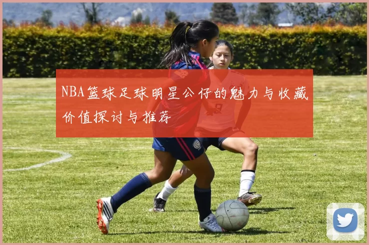 NBA篮球足球明星公仔的魅力与收藏价值探讨与推荐