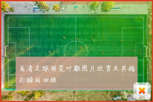 高清足球明星叶雕图片欣赏及其精彩瞬间回顾