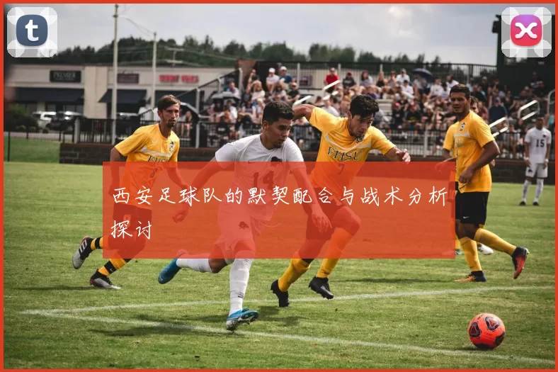 西安足球队的默契配合与战术分析探讨