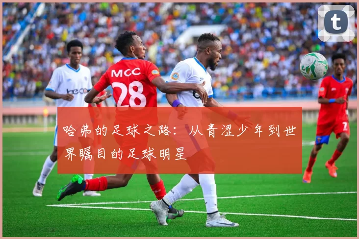 哈弗的足球之路：从青涩少年到世界瞩目的足球明星