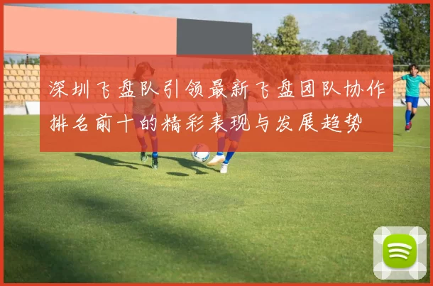 深圳飞盘队引领最新飞盘团队协作排名前十的精彩表现与发展趋势