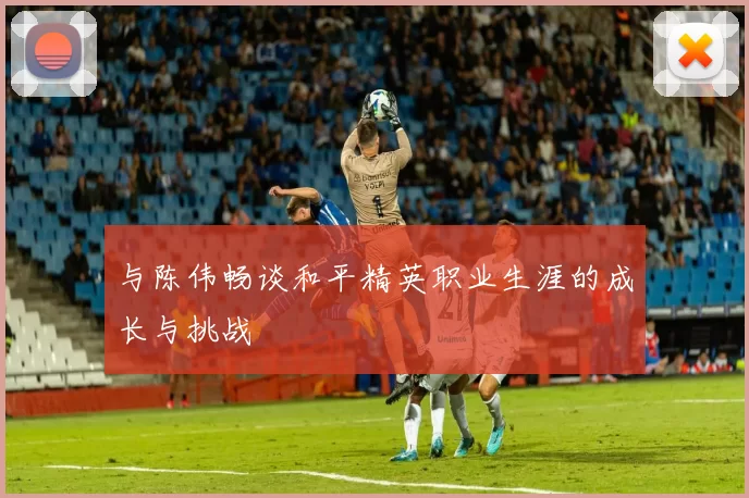 与陈伟畅谈和平精英职业生涯的成长与挑战