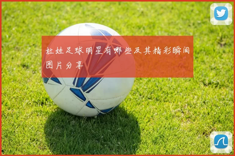 杜姓足球明星有哪些及其精彩瞬间图片分享
