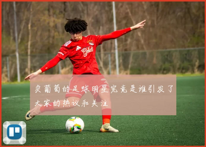 卖葡萄的足球明星究竟是谁引发了大家的热议和关注