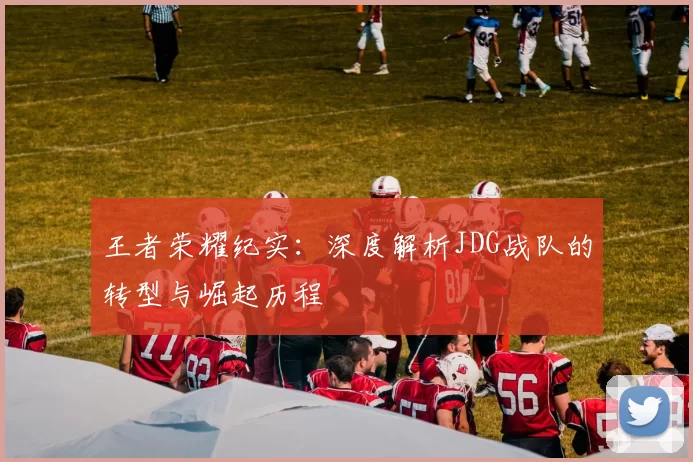 王者荣耀纪实：深度解析JDG战队的转型与崛起历程