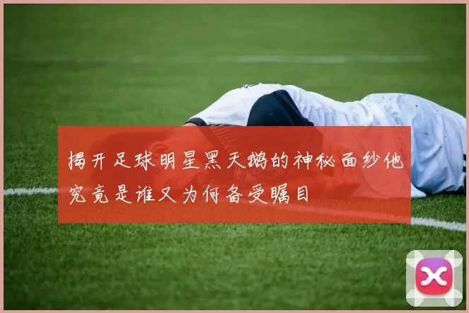 揭开足球明星黑天鹅的神秘面纱他究竟是谁又为何备受瞩目