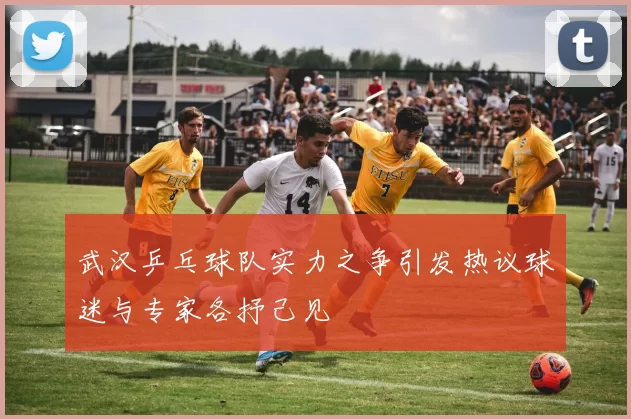 武汉乒乓球队实力之争引发热议球迷与专家各抒己见