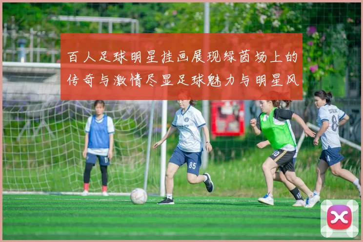 百人足球明星挂画展现绿茵场上的传奇与激情尽显足球魅力与明星风采