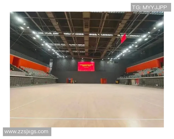 中国体育馆发展现状与未来趋势探析：从硬件设施到体育文化的全面升级
