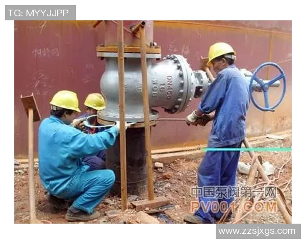 水管阀门选择与安装技巧解析，保障家居用水安全与节能效果