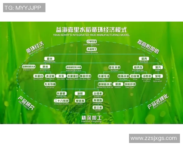 生态文明建设与可持续发展路径探索：从自然保护到绿色经济转型